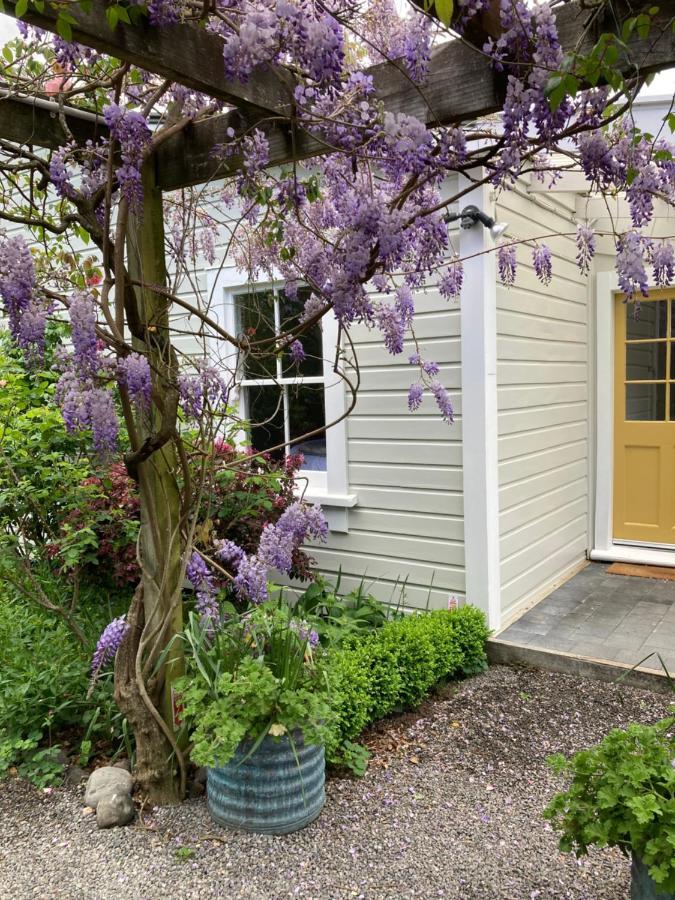 Country Bliss Cottage Greytown Exterior foto